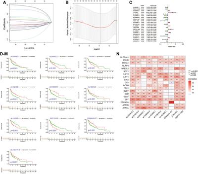 The prognostic value and immune landscape of a cuproptosis-related lncRNA signature in head and neck squamous cell carcinoma